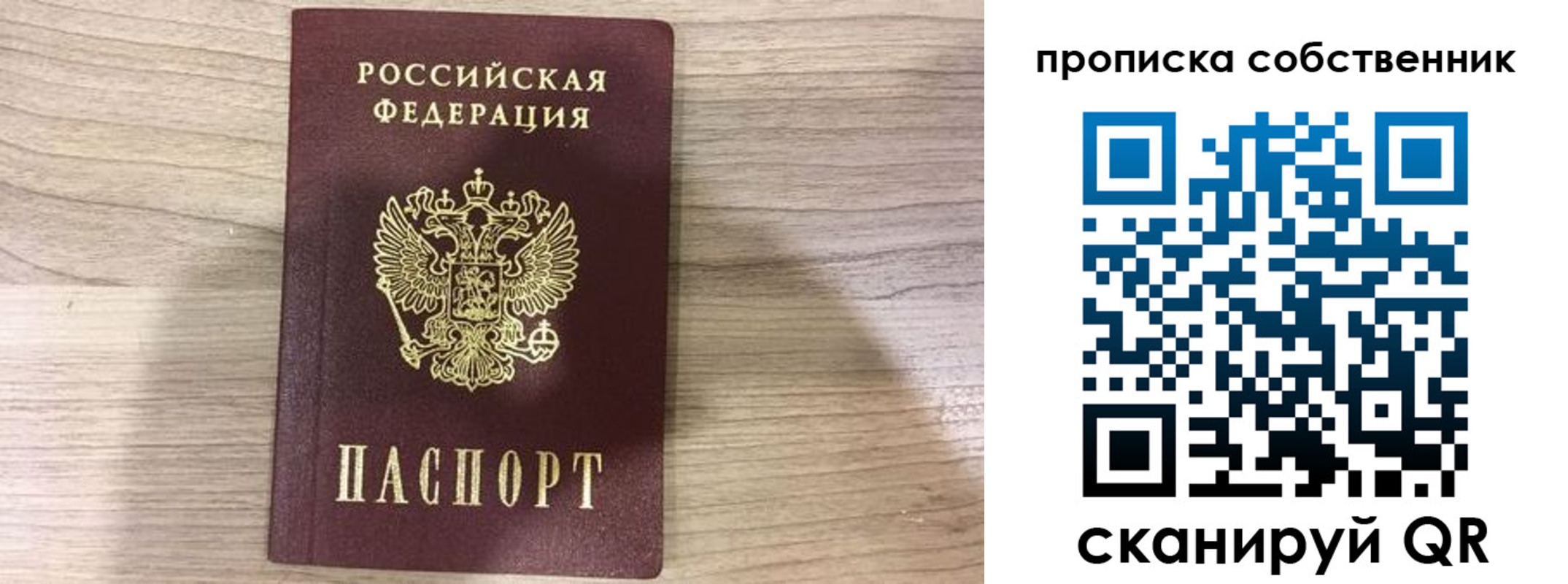 прописка для школы в Химках